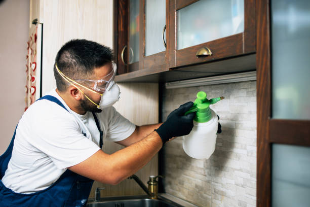 Best Pest Control Near Me  in La Habra Heights, CA