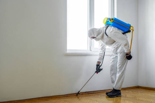  La Habra Heights, CA Pest Control Pros