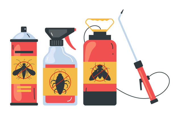 Wasp Removal Services in La Habra Heights, CA