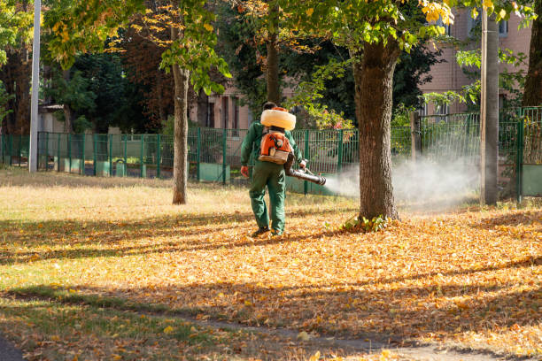  La Habra Heights, CA Pest Control Pros